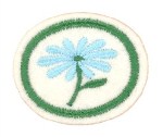 Blomster